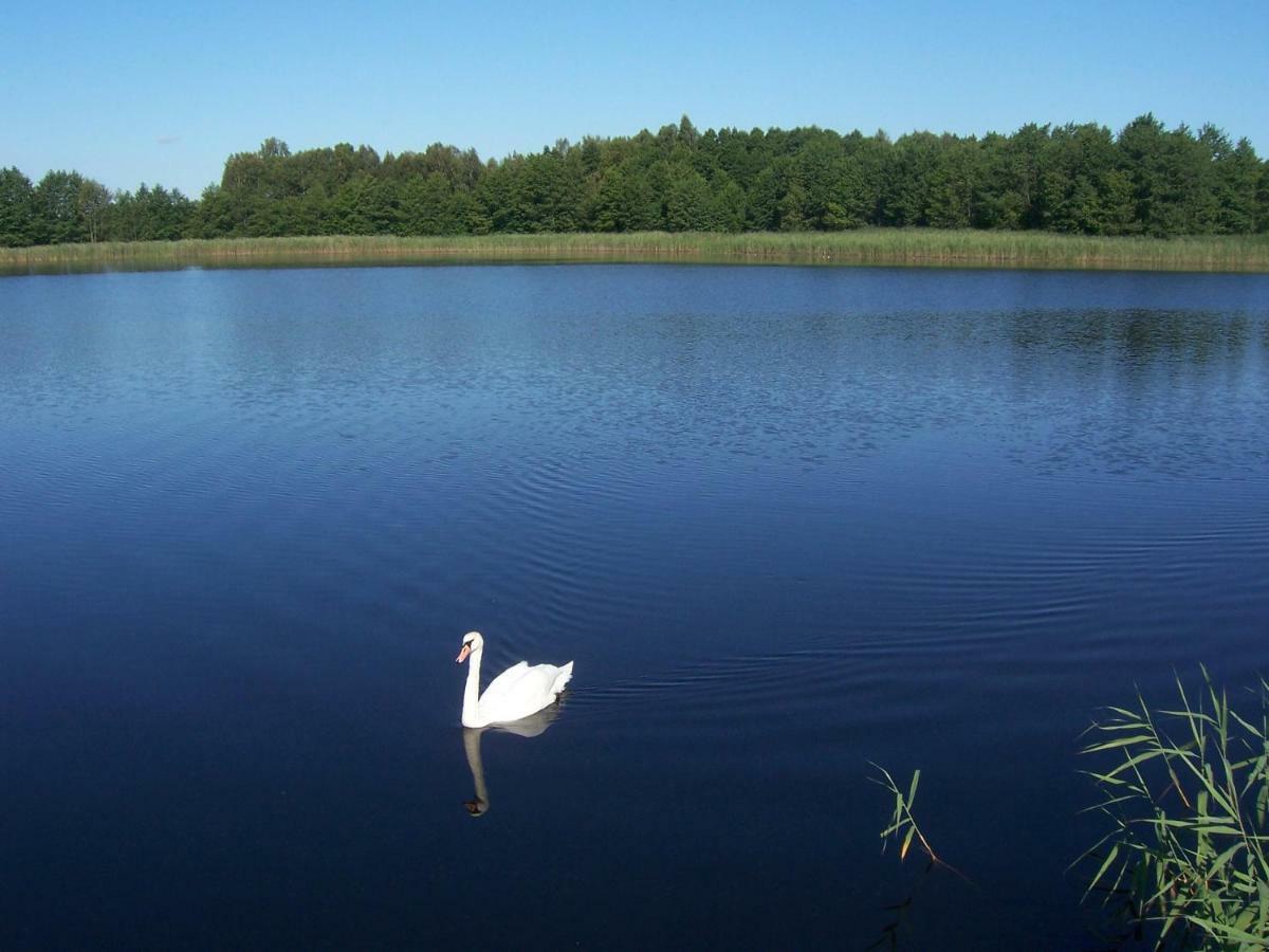 Domwigierski Pl -Jeziorki -Gr- Comfort-Ferienhaus-Polen - Wlasna Linia Brzegowa I Sauna Wysoki Most  Buitenkant foto