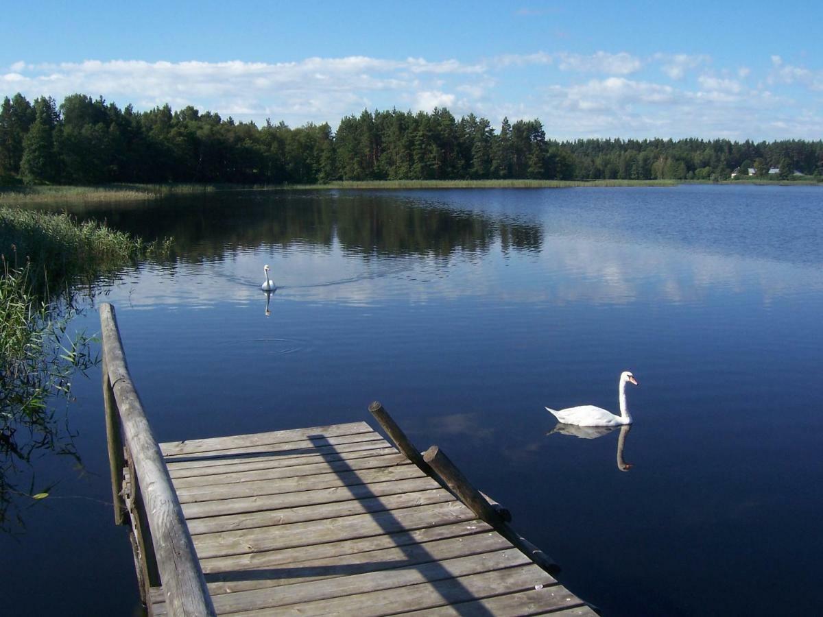 Domwigierski Pl -Jeziorki -Gr- Comfort-Ferienhaus-Polen - Wlasna Linia Brzegowa I Sauna Wysoki Most  Buitenkant foto