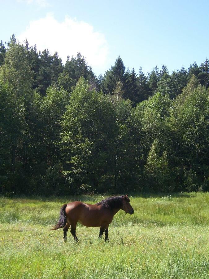 Domwigierski Pl -Jeziorki -Gr- Comfort-Ferienhaus-Polen - Wlasna Linia Brzegowa I Sauna Wysoki Most  Buitenkant foto