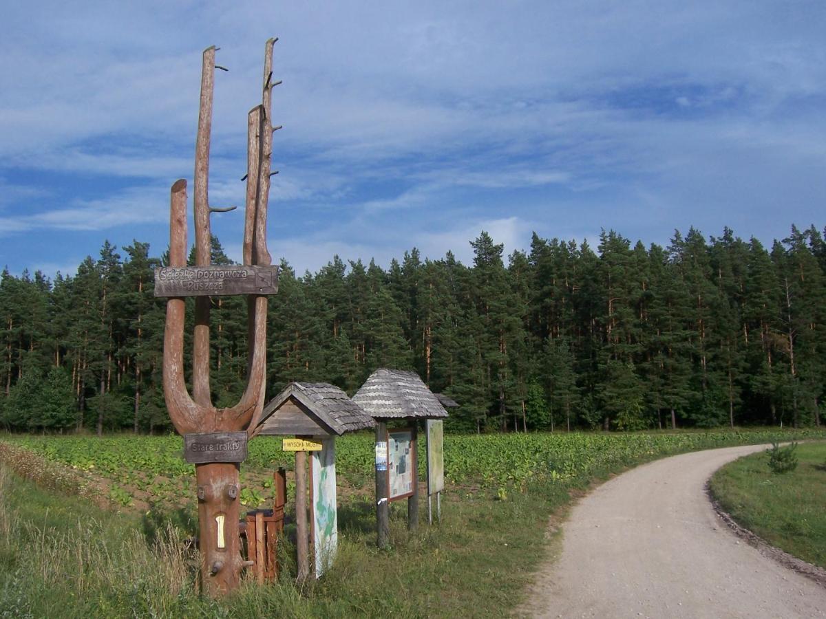 Domwigierski Pl -Jeziorki -Gr- Comfort-Ferienhaus-Polen - Wlasna Linia Brzegowa I Sauna Wysoki Most  Kamer foto